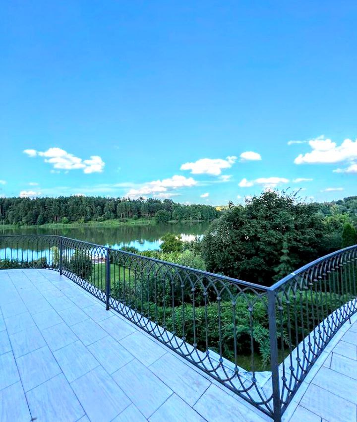 #453 VIP дом посуточно Киевская область за Борщаговкой — фото 61