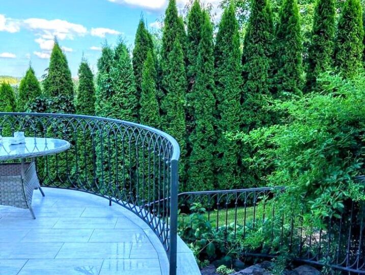 #453 VIP дом посуточно Киевская область за Борщаговкой — фото 59
