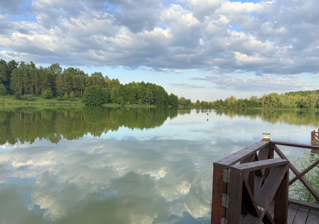 #453 VIP дом посуточно Киевская область за Борщаговкой — фото 89