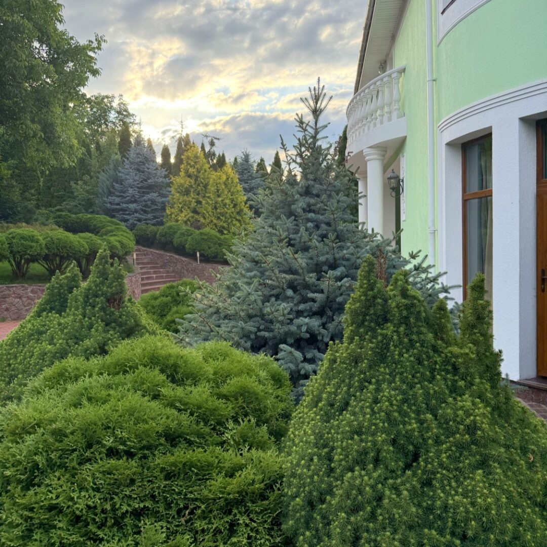 #453 VIP дом посуточно Киевская область за Борщаговкой — фото 83