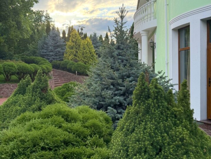 #453 VIP дом посуточно Киевская область за Борщаговкой — фото 83