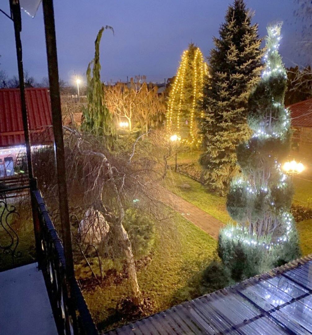 #608 Дом с баней и бассейном на сутки за Борисполем — фото 32