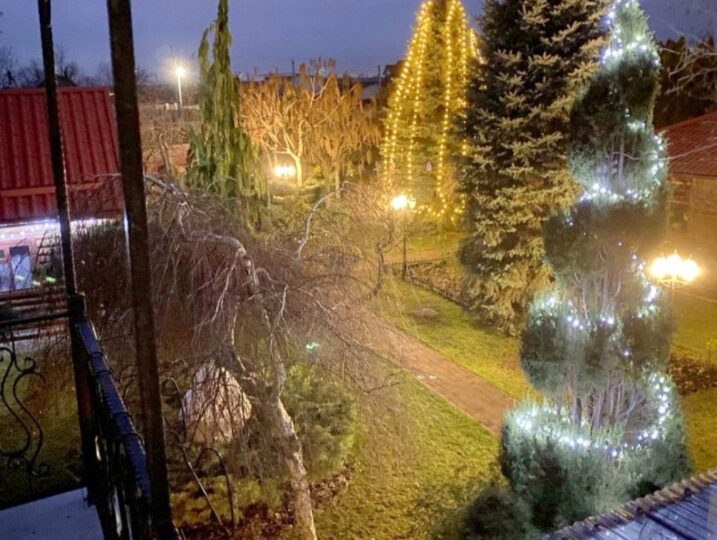 #608 Дом с баней и бассейном на сутки за Борисполем — фото 32