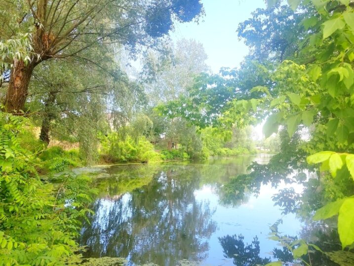 #441-4 Дом возле воды посуточно Киев Осокорки — фото 18