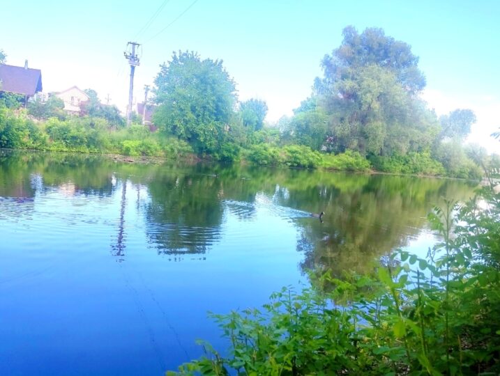 #441-4 Дом возле воды посуточно Киев Осокорки — фото 17