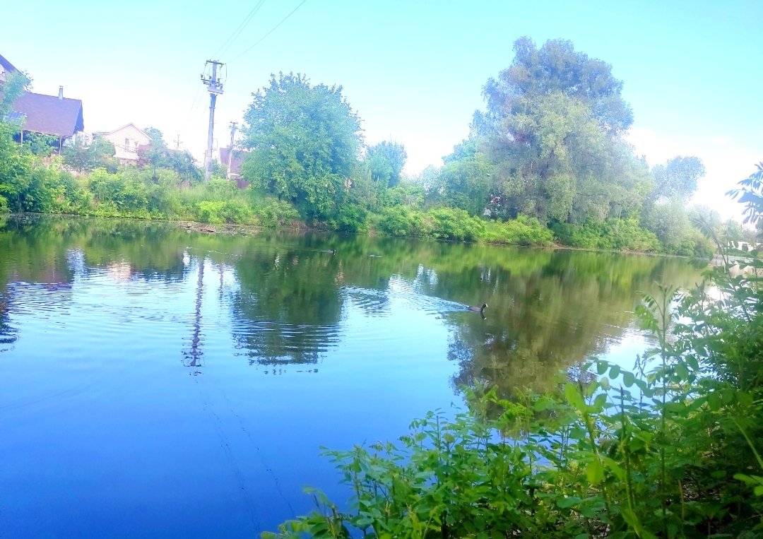 #441-4 Дом возле воды посуточно Киев Осокорки — фото 17