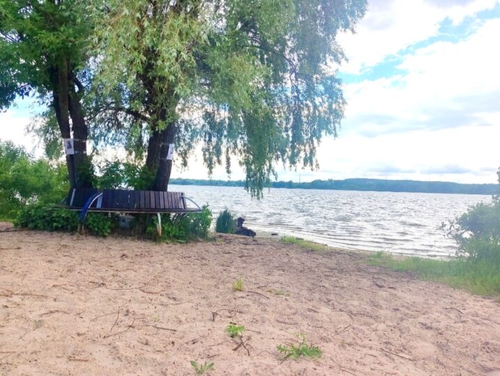 #441-4 Дом возле воды посуточно Киев Осокорки — фото 4