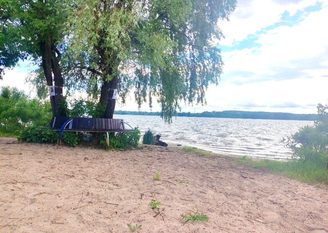 #441-4 Дом возле воды посуточно Киев Осокорки — фото 4