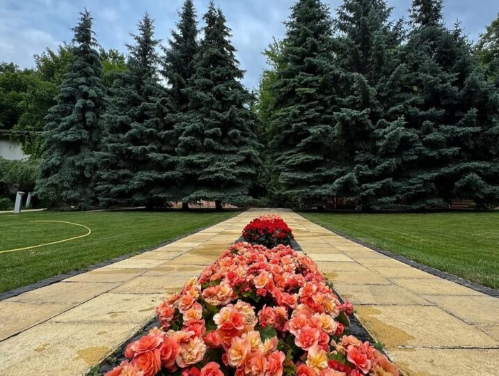 #657 Элитный дом посуточно Киев — фото 38